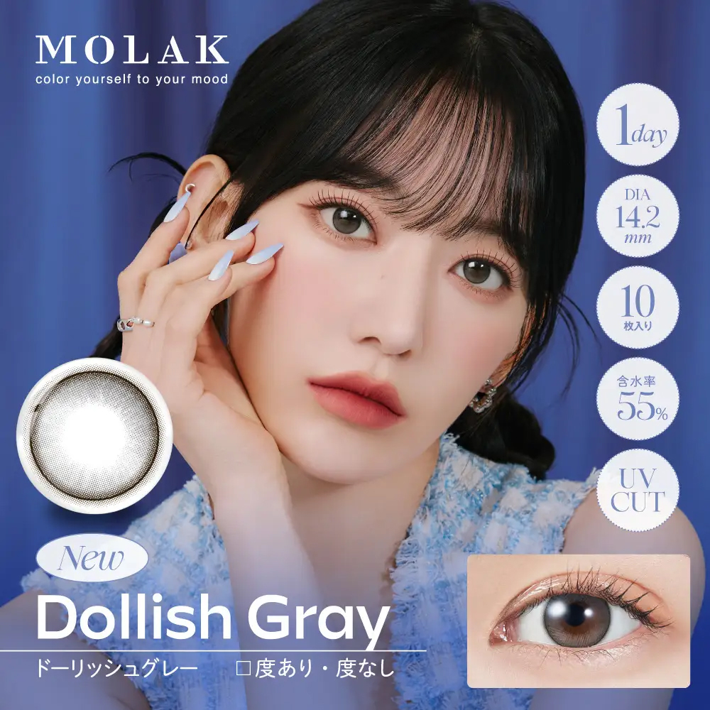 Dollish Gray 1day