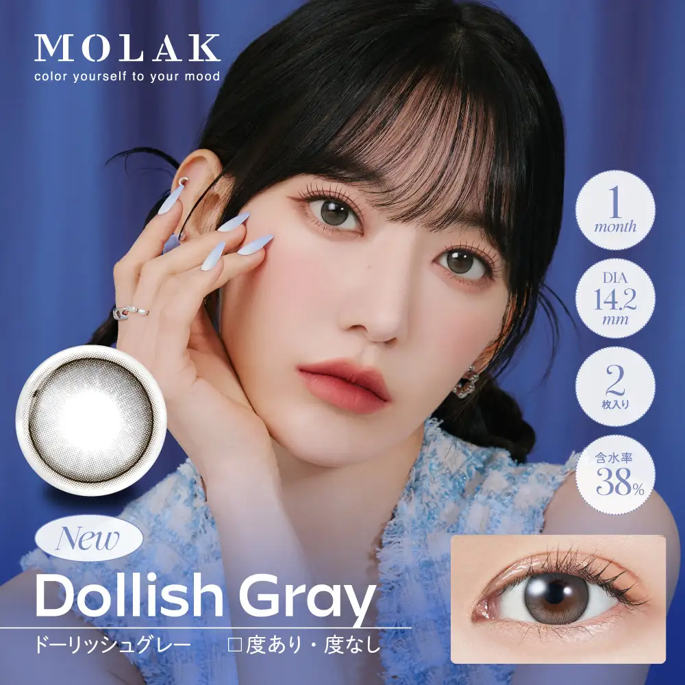 Dollish Gray 1day