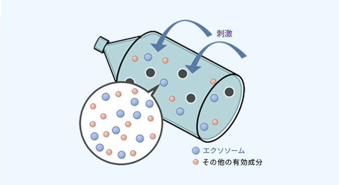 独自技術の3D培養方式