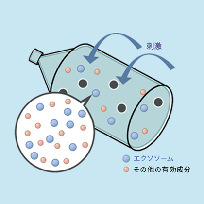 独自技術の３D培養方式